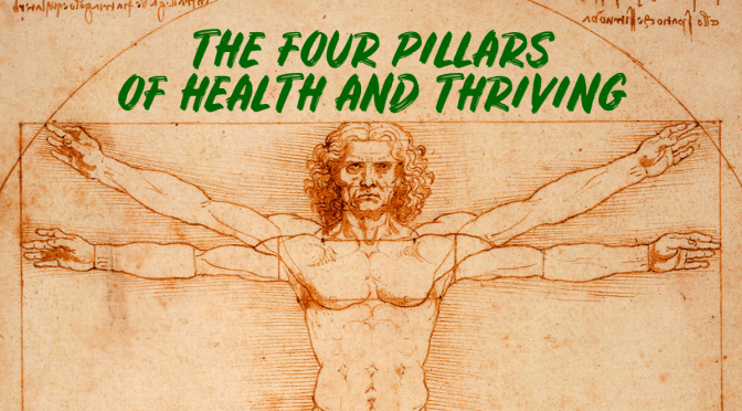 OPINION: THE ” FOUR PILLARS OF HEALTH AND THRIVING”