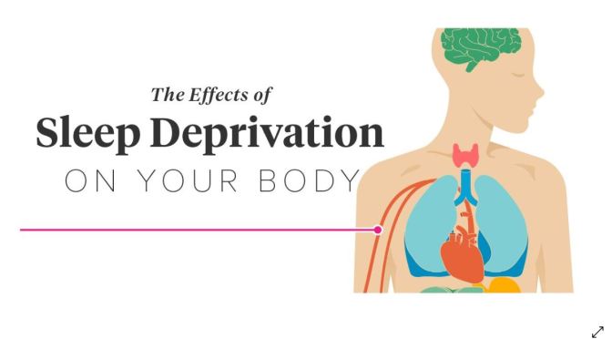 STUDIES: CHRONIC SLEEP DEPRIVATION CAUSES TOXIC CHANGES IN GUT HEALTH, INCREASED EARLY MORTALITY