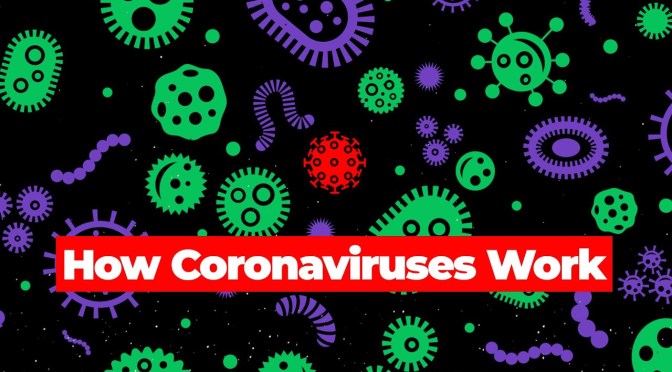 HEALTH VIDEOS: “HOW CORONAVIRUSES WORK”