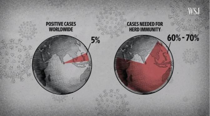 CORONAVIRUS: “HOW WE CAN REACH HERD IMMUNITY”