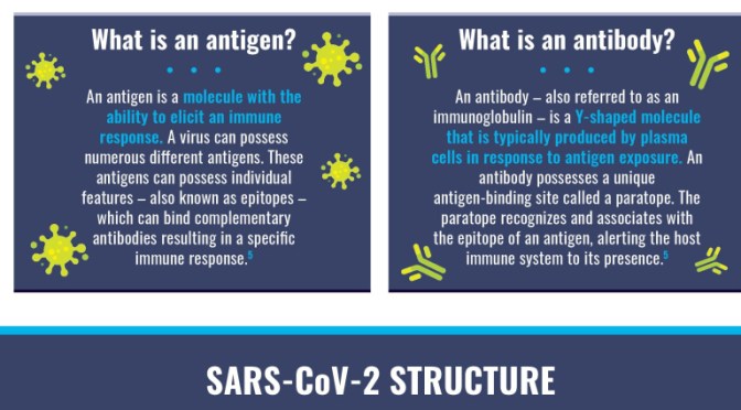 INFOGRAPHICS: “COVID-19 ANTIBODIES & ANTIGENS”