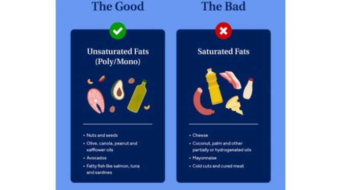 NUTRITION INFOGRAPHIC: “GOOD AND BAD FATS”