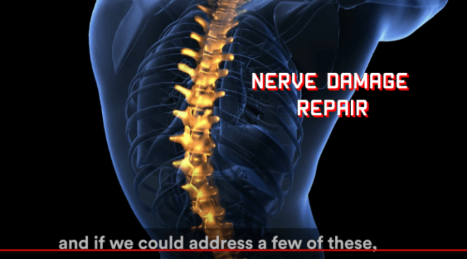 MEDICAL INNOVATION VIDEO: ‘NERVE DAMAGE REPAIR’