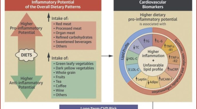 STUDY: “ANTI-INFLAMATORY” DIET OF VEGETABLES, FRUITS, COFFEE & TEA LOWERS HEART DISEASE AND STROKE RISKS
