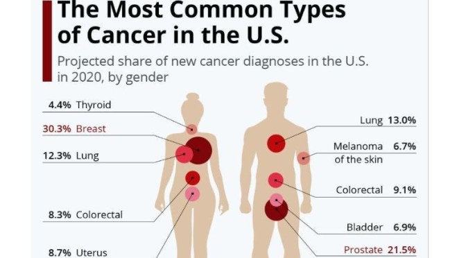 Infographic: ‘The Most Common Types Of Cancer’