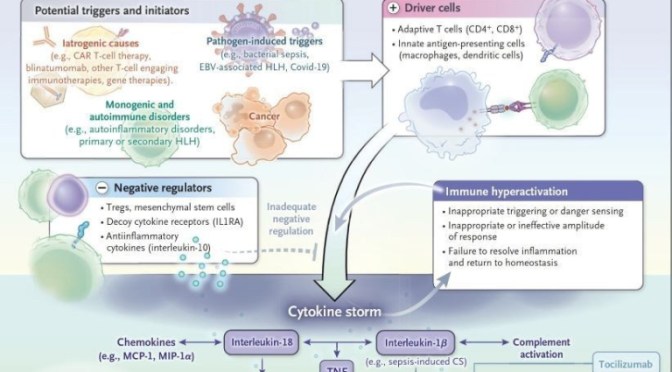 MEDICAL REVIEWS: COVID-19 & ‘CYTOKINE STORM’ (NEJM)