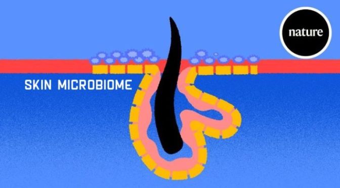 HEALTH: VALUE OF A HEALTHY ‘SKIN MICROBIOME’ (VIDEO)