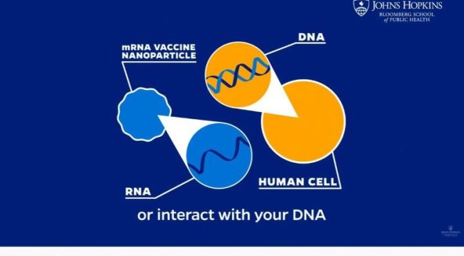 COVID-19: ‘HOW MRNA VACCINES WORK’ (VIDEO)
