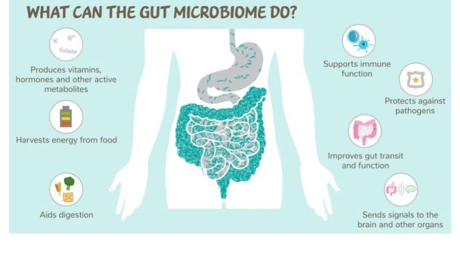 HEALTH: ‘GUT MICROBIOMES – ENABLER OF LONGER LIVES’