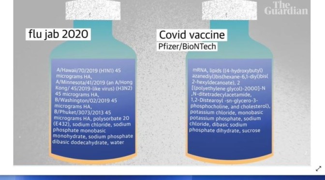 COVID-19: ‘WHAT ARE THE VACCINE’S INGREDIENTS?’