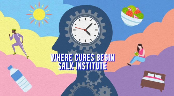 HEALTHY LIVES: LIVING IN SYCH WITH BIOLOGICAL CLOCKS (SALK INSTITUTE)