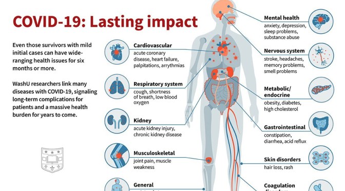Infographic: Lasting Impacts Of Covid-19
