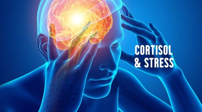 DR. C’S JOURNAL: Stress & The Effects Of Cortisol