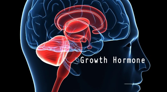 Dr. C’s Journal: Effects Of Growth Hormone (GH)