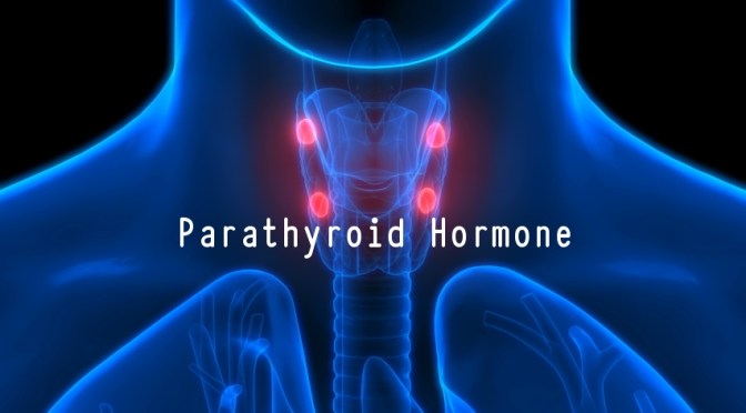 DR. C’S JOURNAL: BENEFITS OF PARATHYROID HORMONE