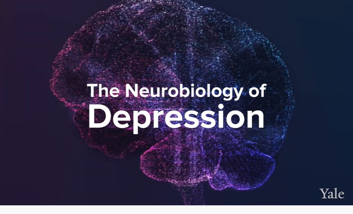 HEALTH: HOW DEPRESSION AFFECTS THE BRAIN (YALE) | Doctors Without ...