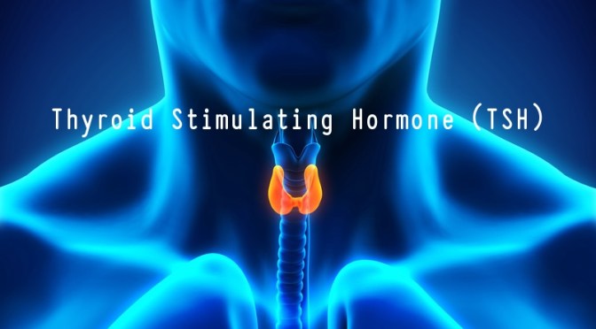DR. C’S JOURNAL: THYROID STIMULATING HORMONE