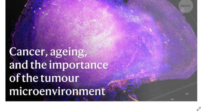 Cancer: Aging & Tumor Microenvironments