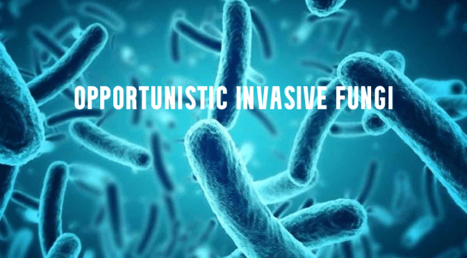 INFECTION: OPPORTUNISTIC INVASIVE FUNGI EXPLAINED