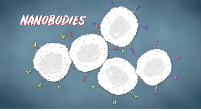 HARVARD: ‘NANOBODIES’ EVOLVED FROM SYNTHETIC ANTIBODY FRAGMENTS