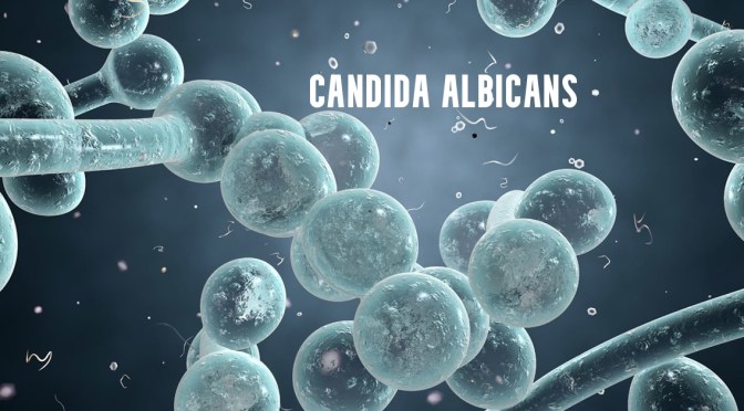 DR. C’S JOURNAL: YEASTS  – CANDIDA ALBICANS