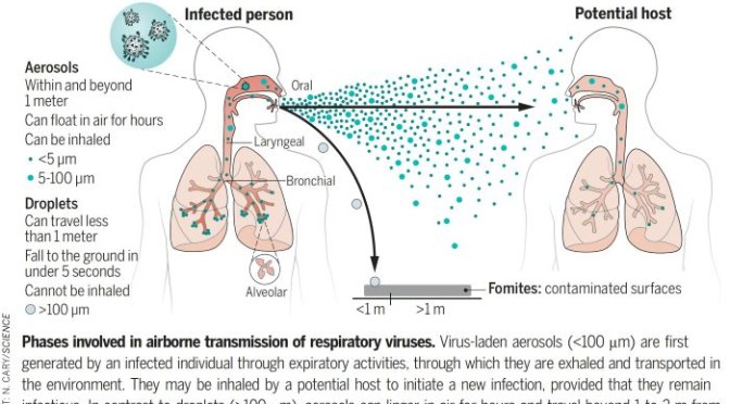 Covid-19 Review: Airborne Transmission Of Viruses