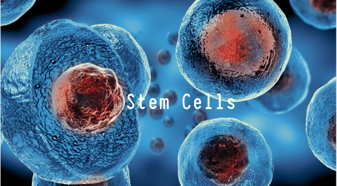 DR. C’S JOURNAL: STEM CELLS
