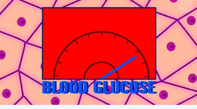 DIABETES: THE ROLE OF  INSULIN AND ISLETS (VIDEO)