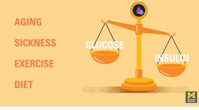 Type 1 Diabetes: How To Treat Hyperglycemia