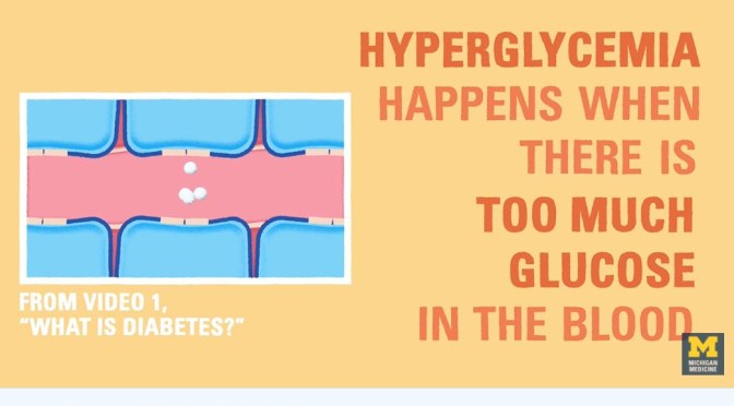 Type 1 Diabetes: What Causes Hyperglycemia?