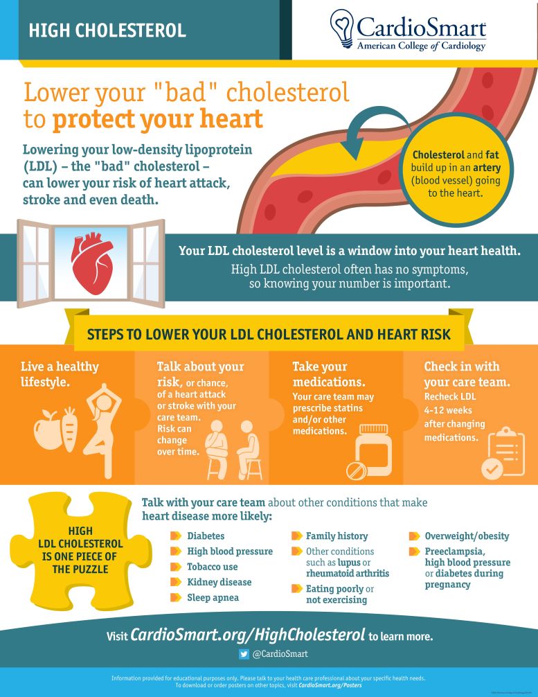 INFOGRAPHIC: LOWERING LDL “BAD” CHOLESTEROL | Doctors Without Waiting Rooms