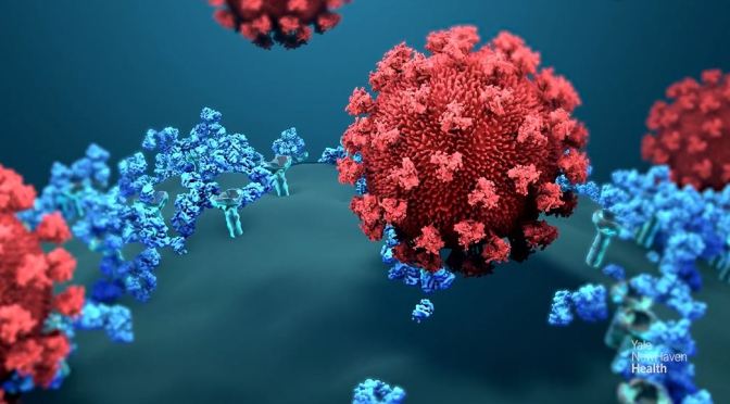 COVID-19: MOLNUPIRAVIR – MERCK’S ANTIVIRAL DRUG