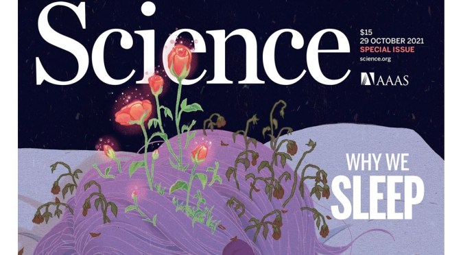 Brain Research: The Many Benefits Of Healthy Sleep