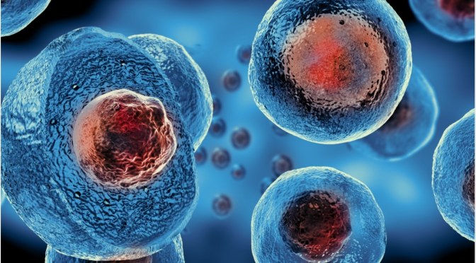 DR. C’S JOUNRAL: STEM CELL TREATMENT UPDATES