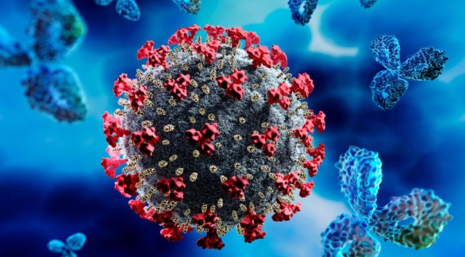 Covid-19: Is There Prior Infection Immunity?