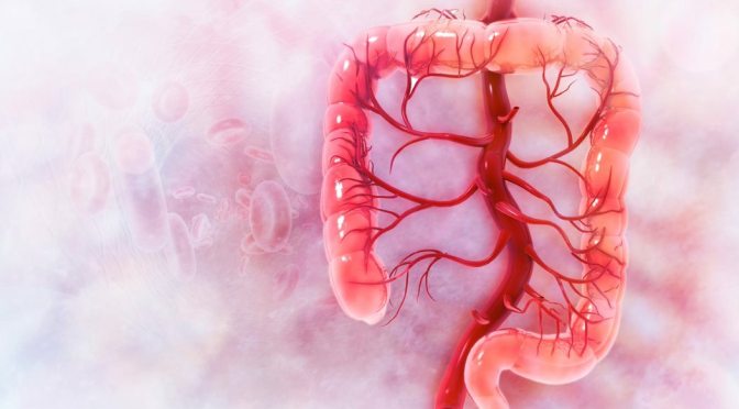 Patients: The Risks Of Colonoscopies Over 75