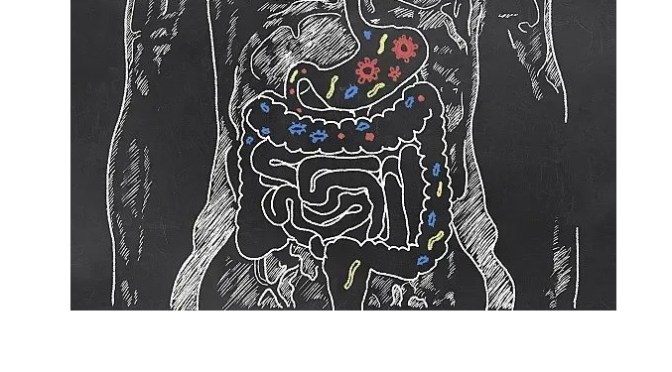 Intestines:  Leaky Gut – Symptoms & Diagnosis