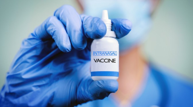 The IGA Immune System And Nasal Immunization