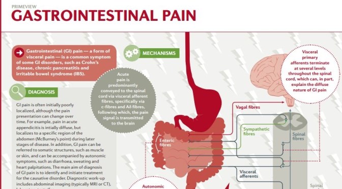 Infographic: Diagnosis Of Gastrointestinal Pain