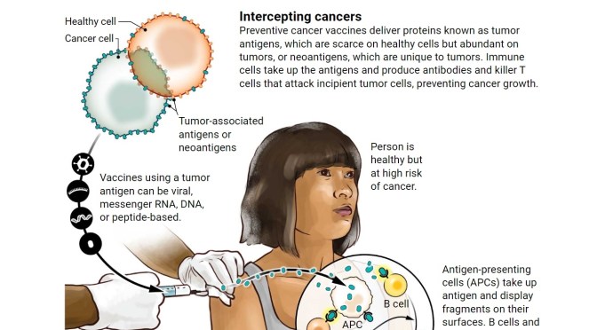 Medical Trials: Cancer-Preventing Vaccines