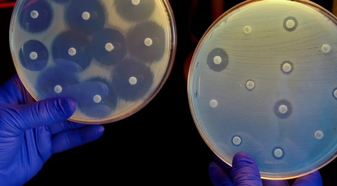 Dr. C’s Journal: The Rise Of Antimicrobial Resistance