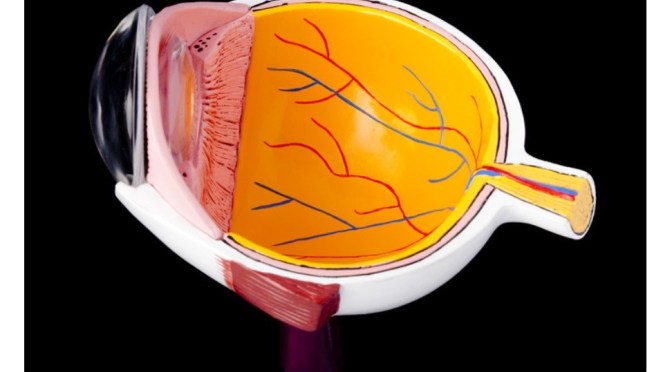 Eye Health: Why Corneal Transplants Are Rising