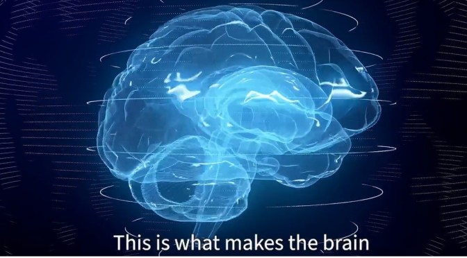 Old Age: ‘Hyperexcitable Neurons’ Interrupt Sleep