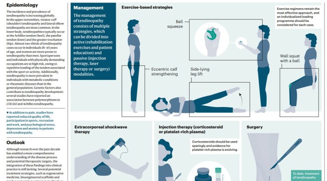 Tendinopathy: Diagnosis, Treatment & Prevention