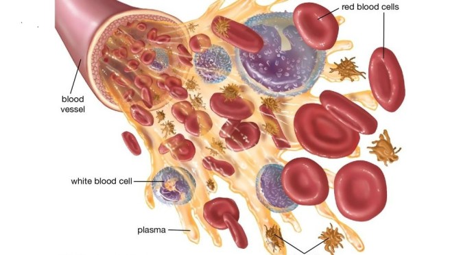 Studies: What Makes For Successful Recoveries