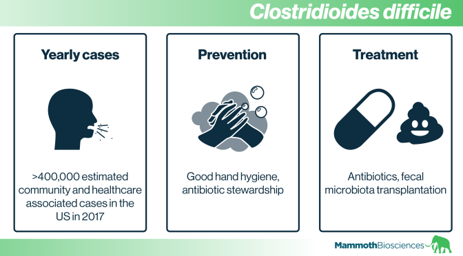C. diff Bacteria: What Is Clostridioides difficile