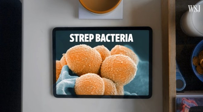 Reviews: WHY ARE FLU, RSV AND STREP SURGING IN 2022?