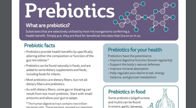 Diet & Nutrition: What Are Prebiotics? (Infographic)