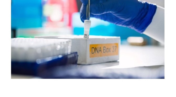 Cancer & Genetic Testing: Nine Questions Answered