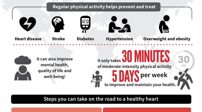 Studies: Regular Exercise Prevents Heart Disease